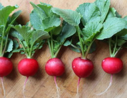 3 Rezepte mit Radieschengrün