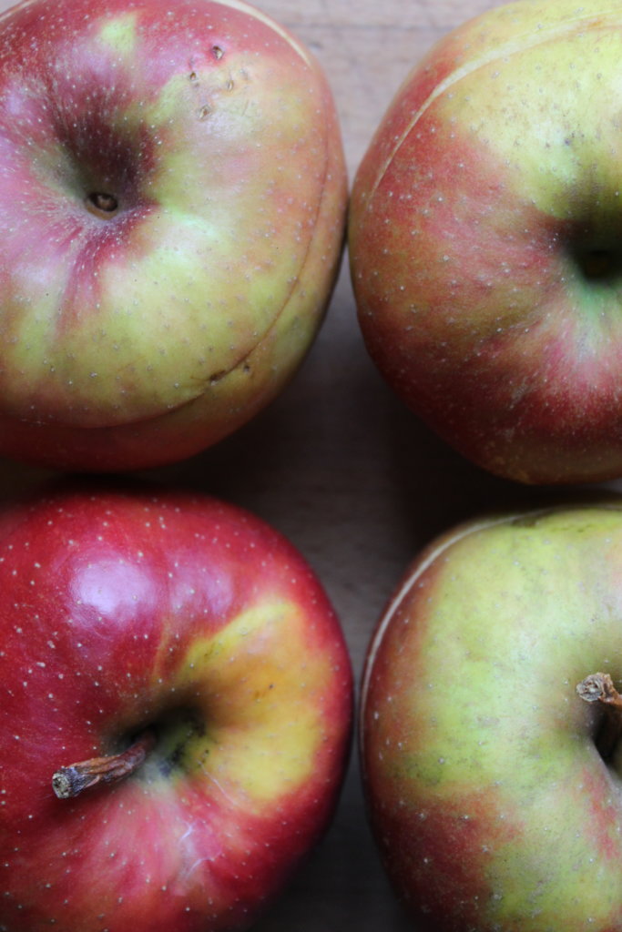 vegane Bratäpfel mit Vanillesoße viele kleine dinge