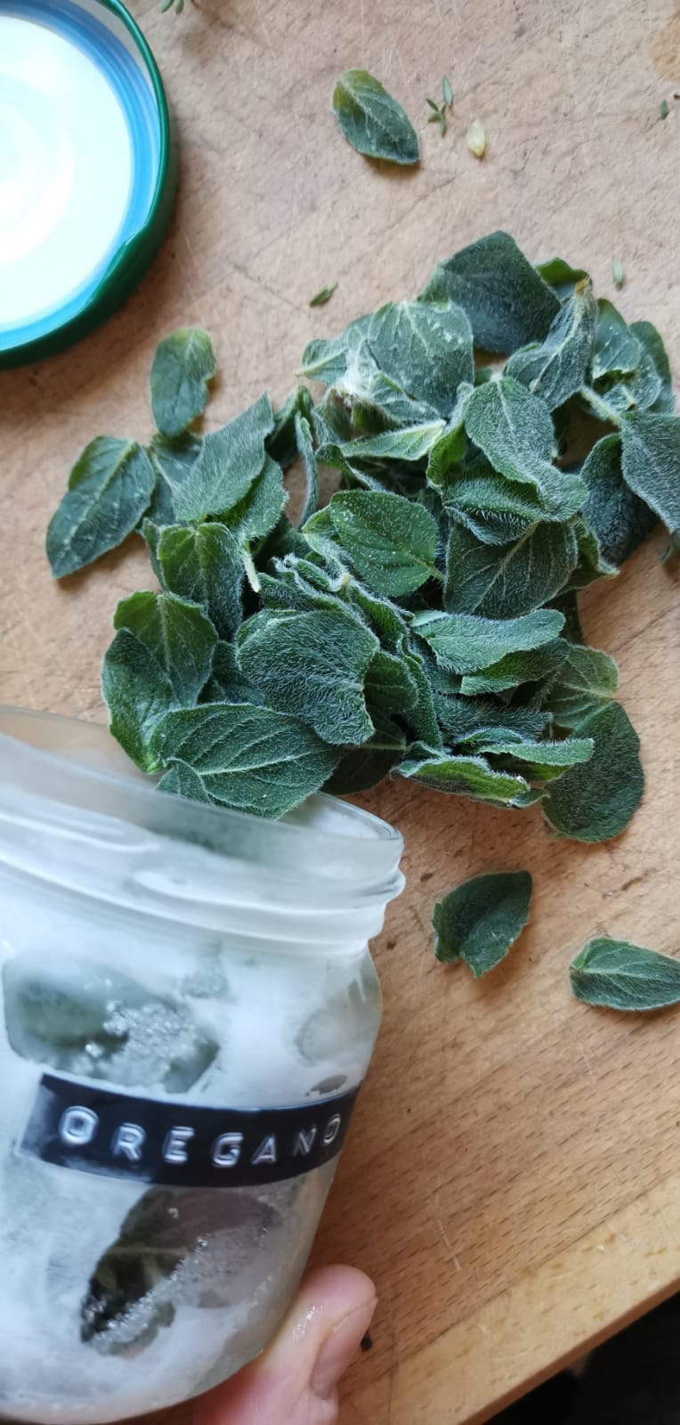 gefrorener Oregano Kräuter haltbar machen viele kleine dinge