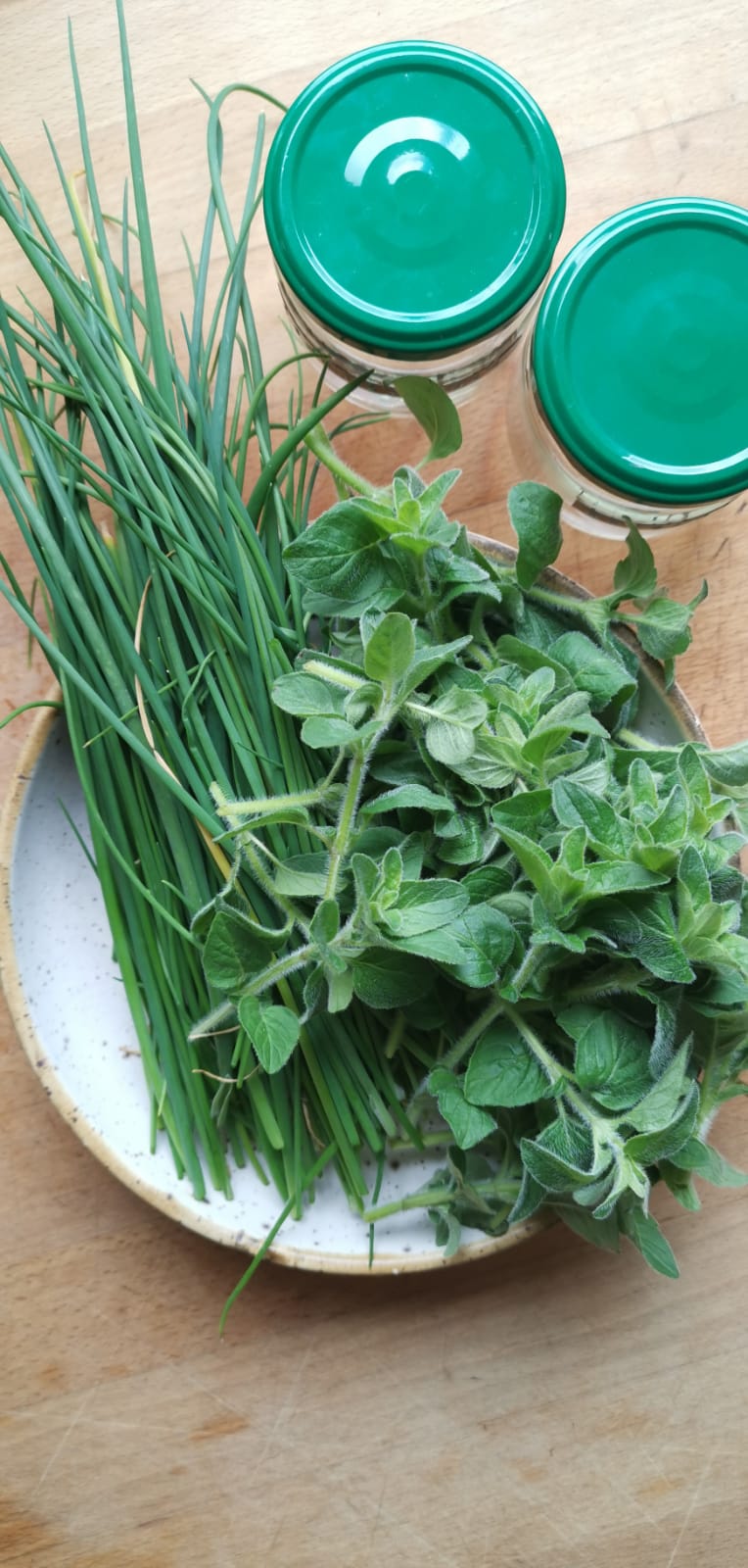 Schnittlauch und Oregano aus dem Garten zur Aufbewahrung viele kleine dinge