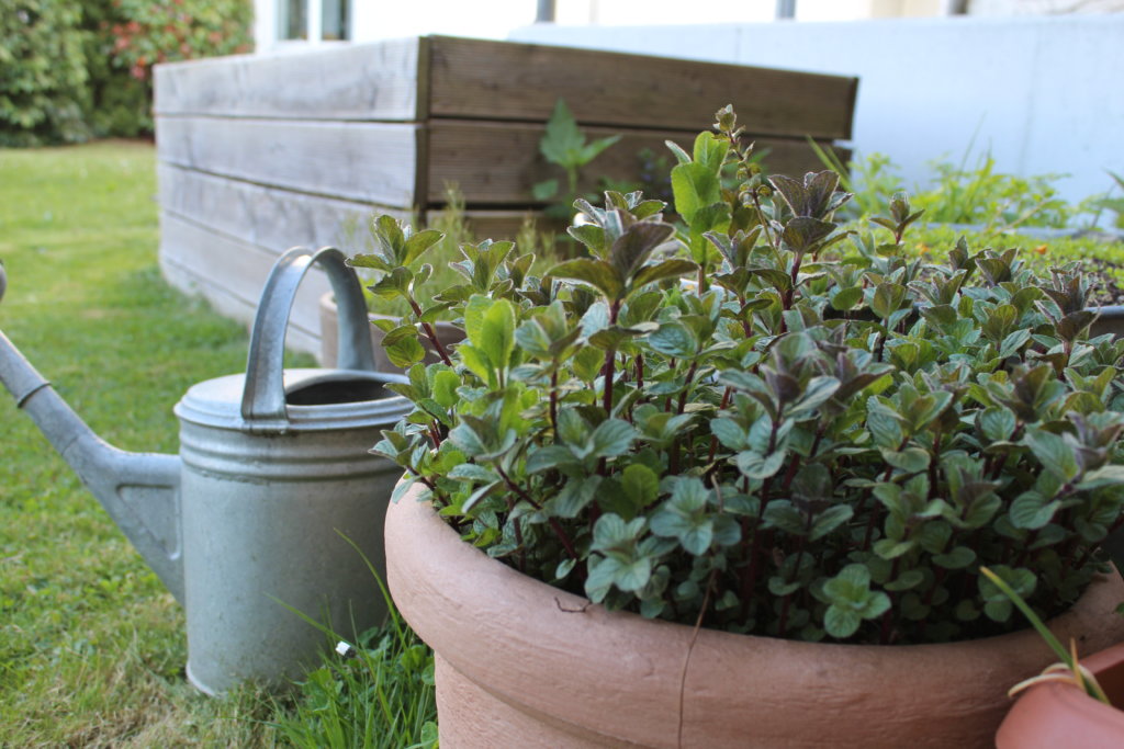 vom Gartenmüll zum Biokompost Verwendung der Erde im Terrassengarten viele kleine dinge