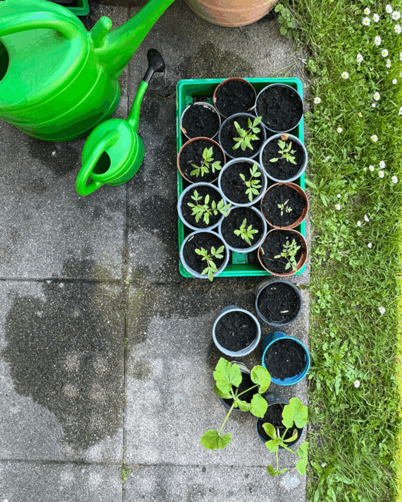 Earth Day 10+ Wege, wie du heute (und jeden Tag) die Welt ein Stück besser machst von viele kleine dinge