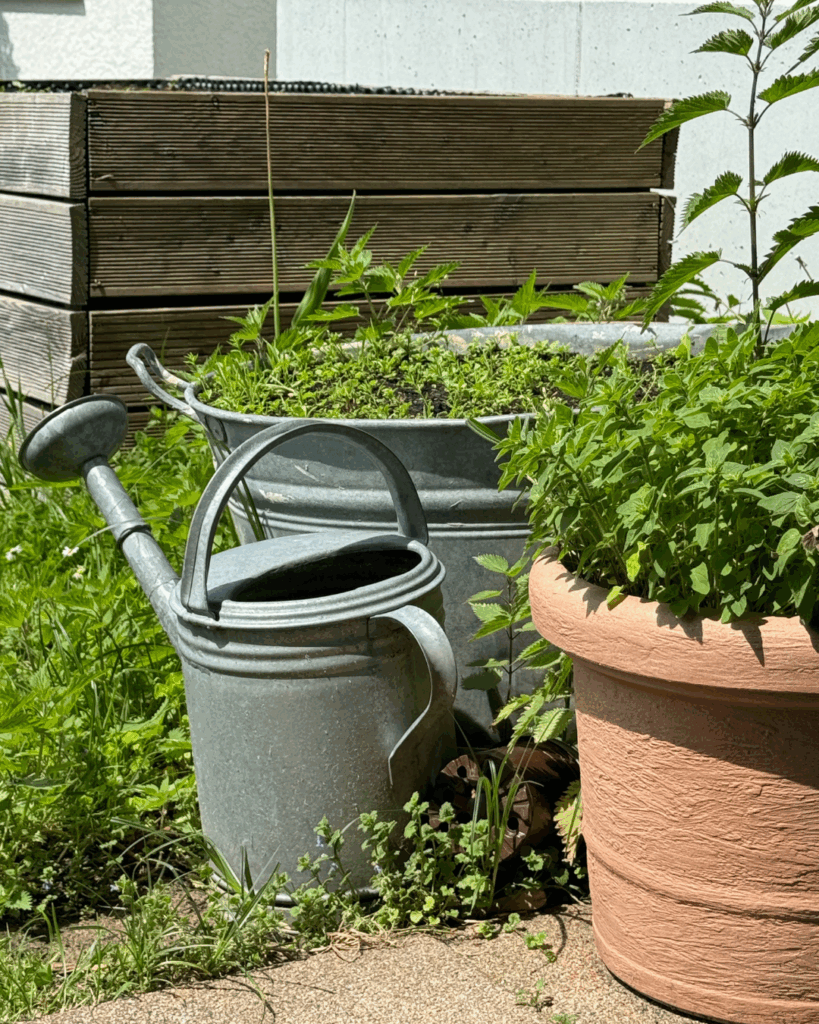 Earth Day 10+ Wege, wie du heute (und jeden Tag) die Welt ein Stück besser machst von viele kleine dinge