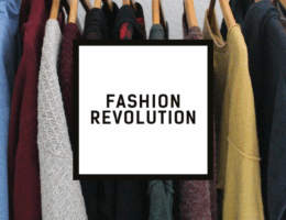 Fashion Revolution_Titelbild_fashionrevolution.org_viele kleine dinge Quelle Grafik: https://www.fashionrevolution.org/resources/all-resources/